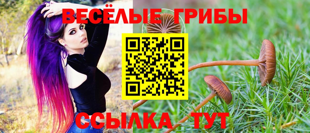 Псилоцибиновые грибы ЛСД  Вход с VPN  Кандалакша 